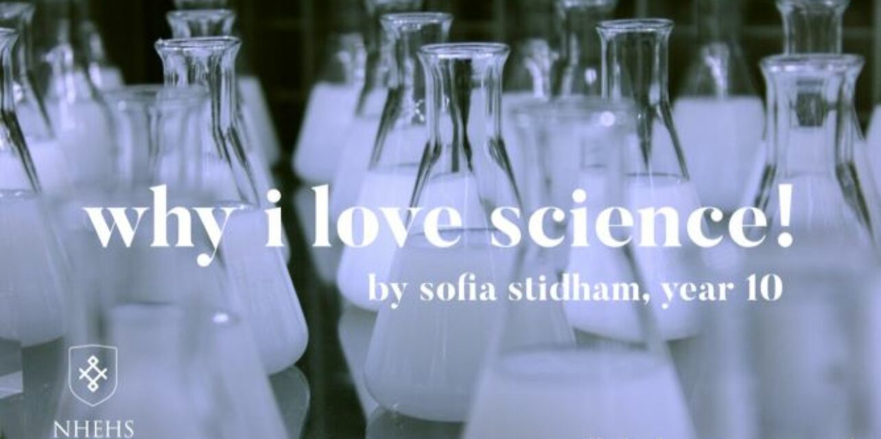 essay on why i love science
