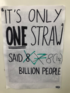 Geo Eco poster straw